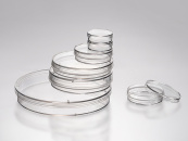 Чашки Петри для клеточных культур, 90 мм, необработ. поверхность, стерильные, 10 шт/уп