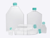 Флакон культуральный (Tissue culture flasks), 300 см², вентилируемая крышка, обработ. поверхн., 3 шт/уп