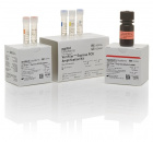 Набор VeriFiler Express PCR Amplification Kit