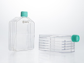 Флакон культуральный 5-слойный, TC treated, невентилируемая крышка, 1 шт/уп