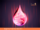 Набор TransGen MagicPure Cell-Free DNA Kit Ⅱ