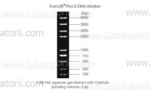 Маркер ДНК Trans2K Plus II, 100 - 8000 п. о., в буфере для нанесения на гель, изображение 2