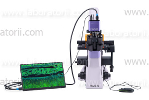 Микроскоп люминесцентный инвертированный цифровой MAGUS Lum VD500L, изображение 12