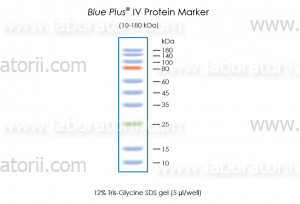 Маркер белковый Blue Plus IV, 10 - 180 кДа, в буфере для нанесения на гель, изображение 2