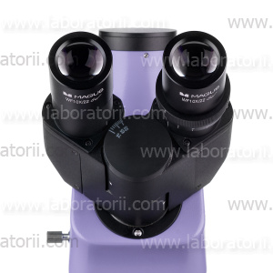 Микроскоп люминесцентный цифровой MAGUS Lum D400, изображение 14