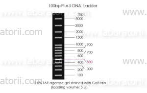 Маркер ДНК, 100 - 5000 п.о., в буфере для нанесения на гель, изображение 2
