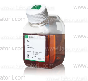 Сыворотка Fetal Bovine Serum, qualified, US origin, изображение 2